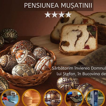 Pensiunea Musatinii 普特纳 外观 照片