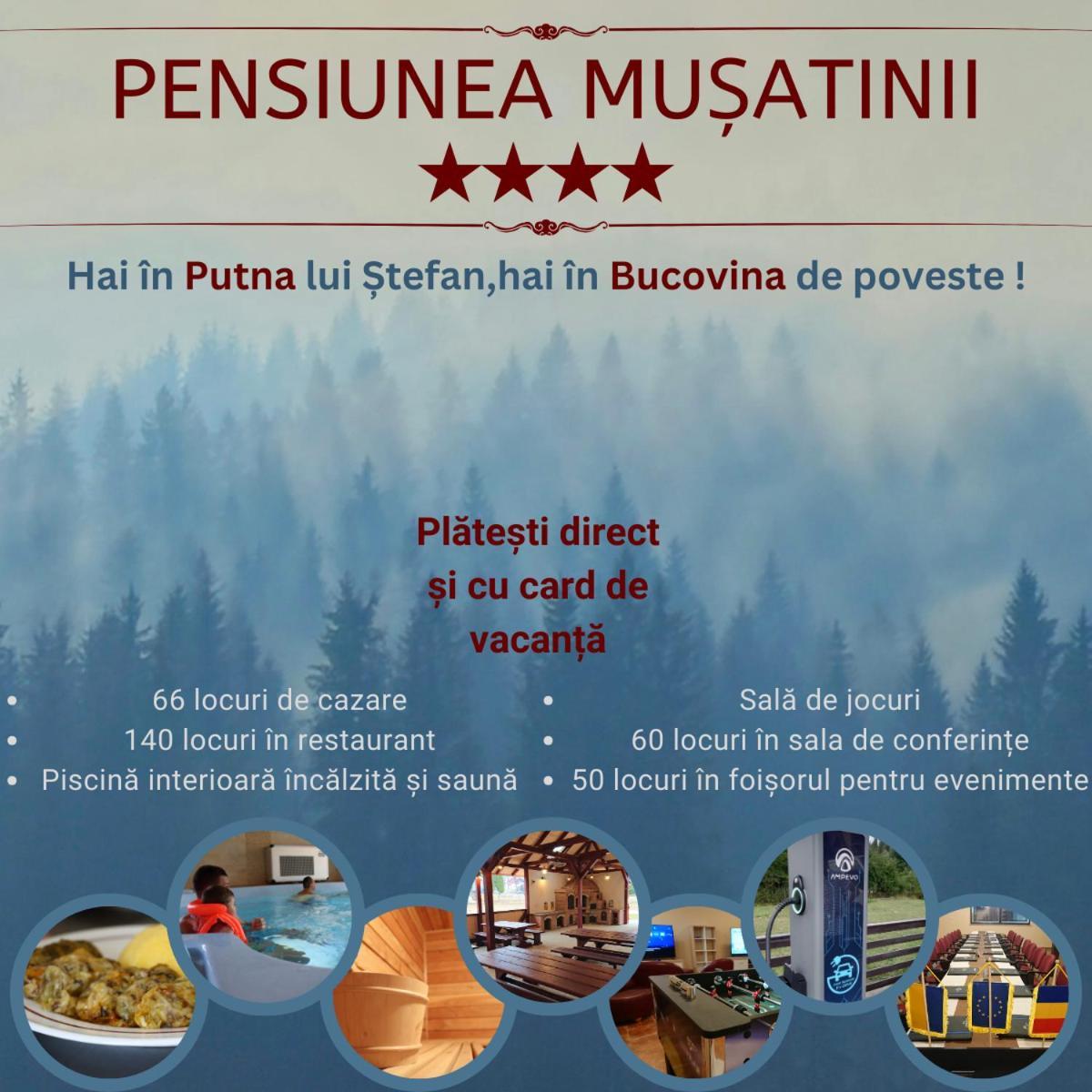 Pensiunea Musatinii 普特纳 外观 照片
