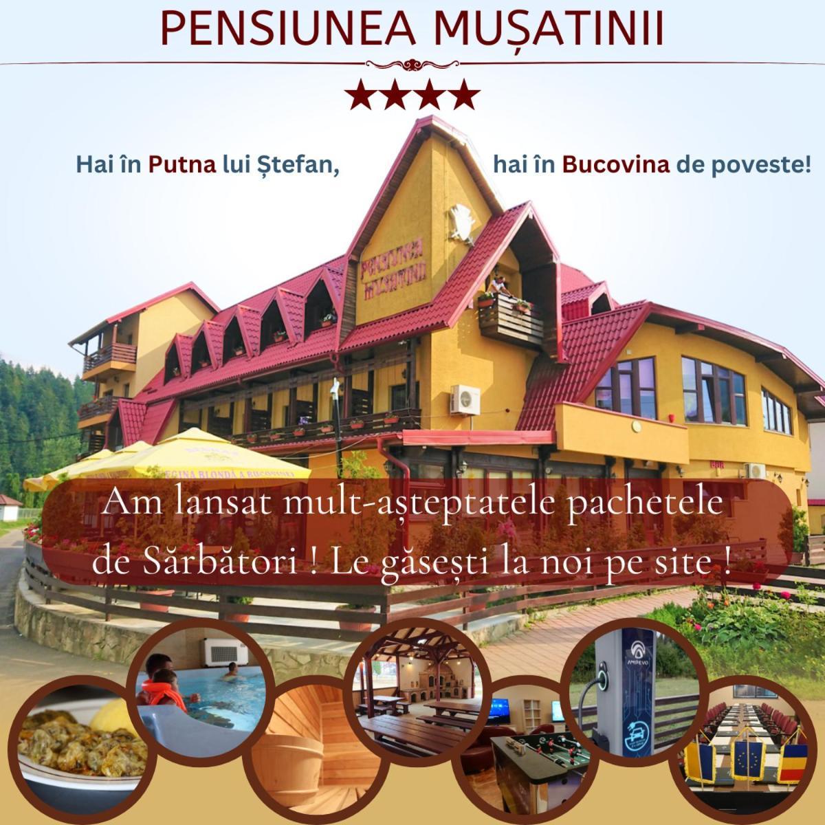 Pensiunea Musatinii 普特纳 外观 照片