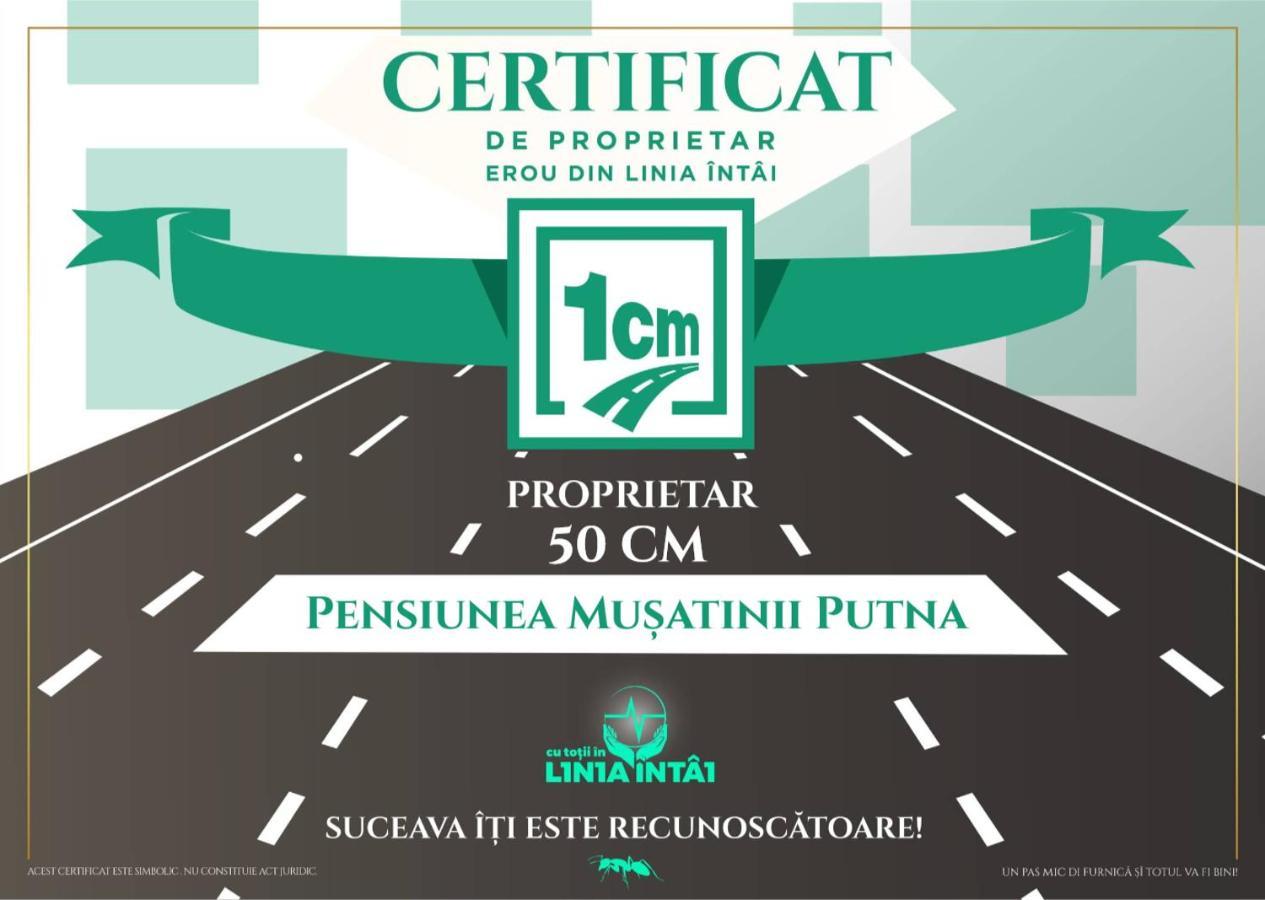 Pensiunea Musatinii 普特纳 外观 照片